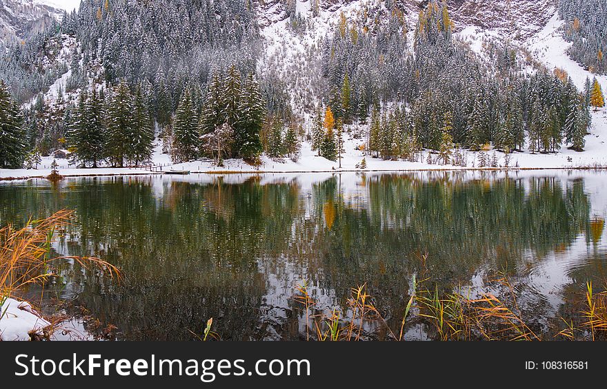 Reflection, Water, Nature, Body Of Water