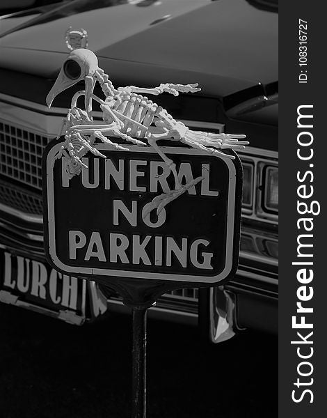 Car, Motor Vehicle, Black And White, Monochrome Photography