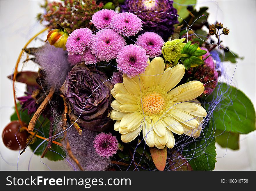 Flower, Floristry, Flower Arranging, Flowering Plant