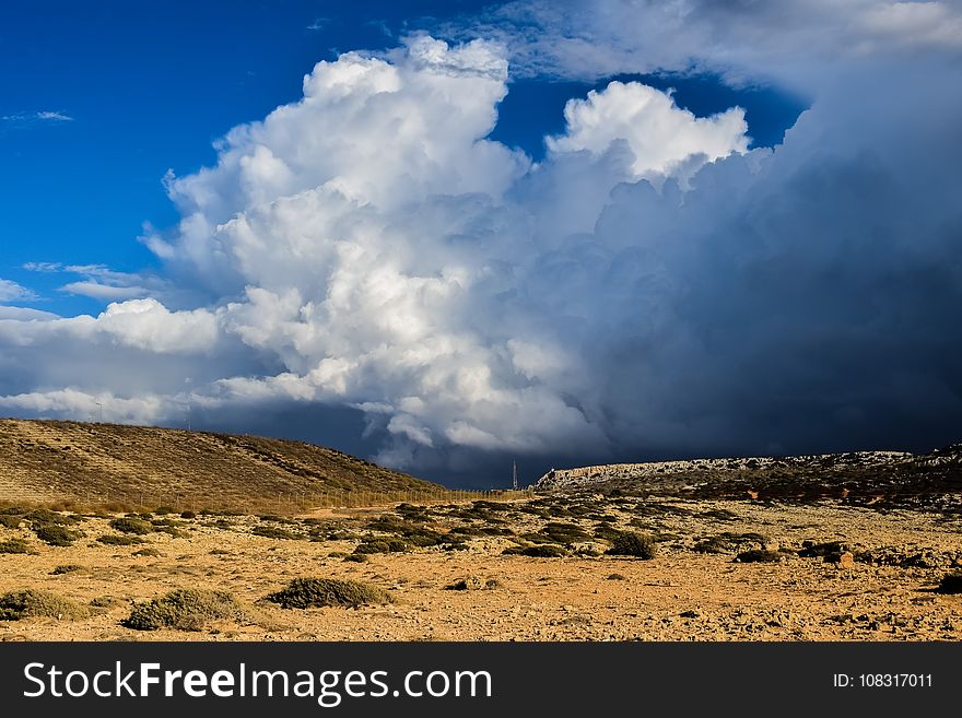 Sky, Cloud, Ecosystem, Cumulus