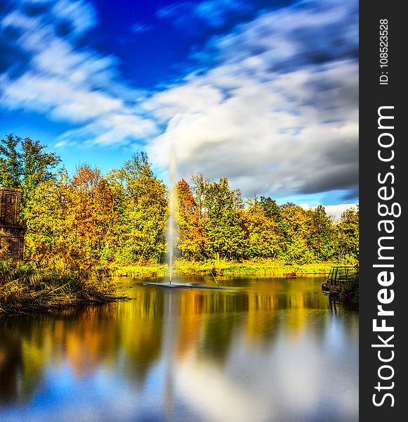 Reflection, Water, Nature, Leaf