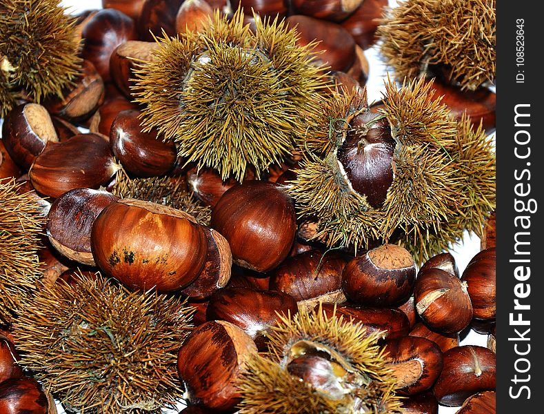 Chestnut, Nut, Nuts & Seeds, Ingredient