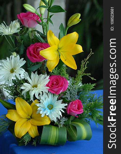 Flower, Plant, Yellow, Floristry