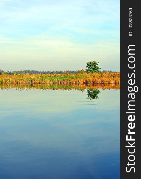 Reflection, Water, Wetland, Water Resources