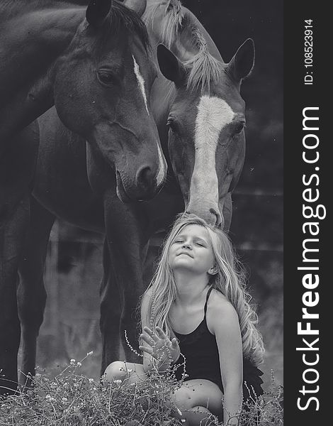 Horse, Black And White, Photograph, Monochrome Photography