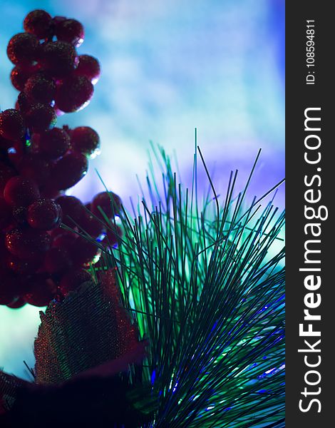 Decorated Christmas tree and colorful garland lights. Decorated Christmas tree and colorful garland lights.