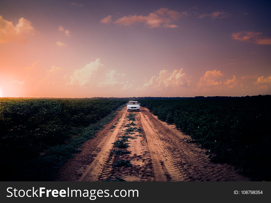 White Car on Dirt Road in the Middle of Grass Field