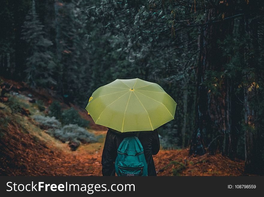 Photography of a Person Holding Yellow Umbrella