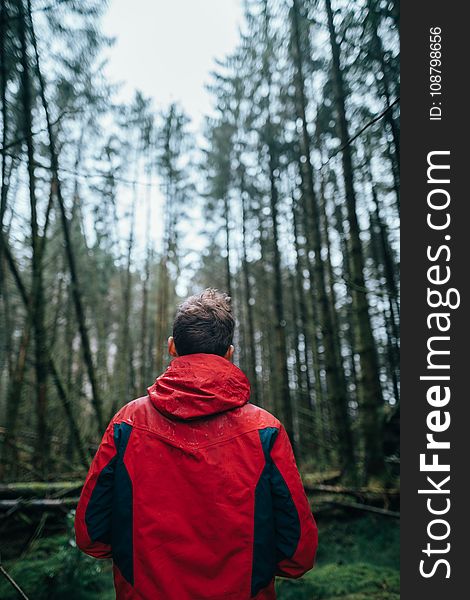 Photography of Man Wearing Black and Red Jacket Standing in Forest