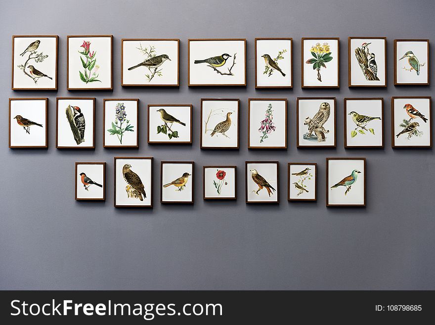 Bird Painting Wall