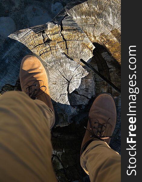 A person with trousers and shoes in natural warm colors, stands on wooden trunk, personal point of view