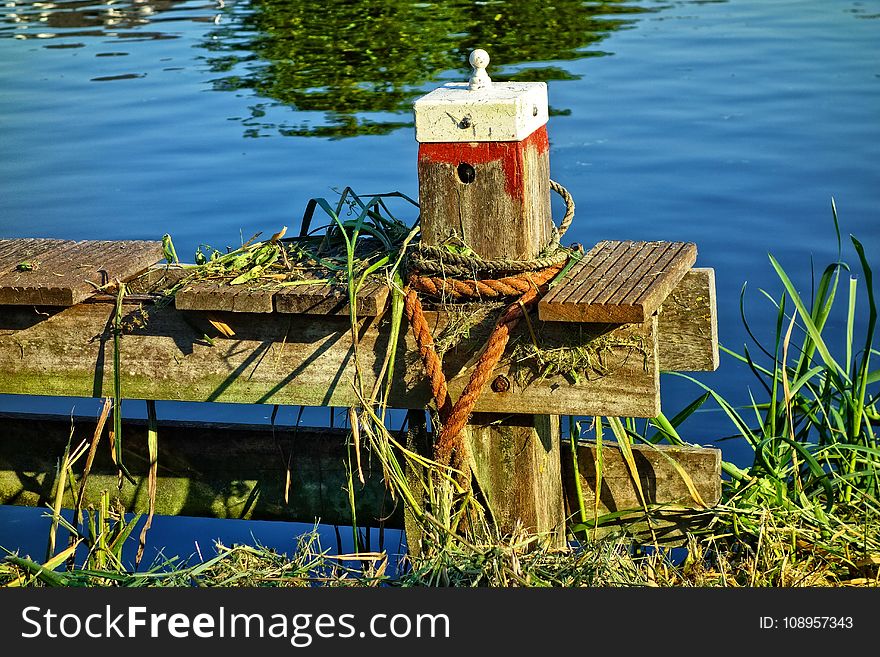 Water, Reflection, Plant, Grass