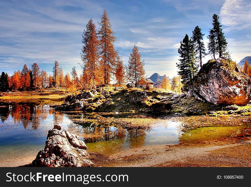 Reflection, Nature, Water, Wilderness