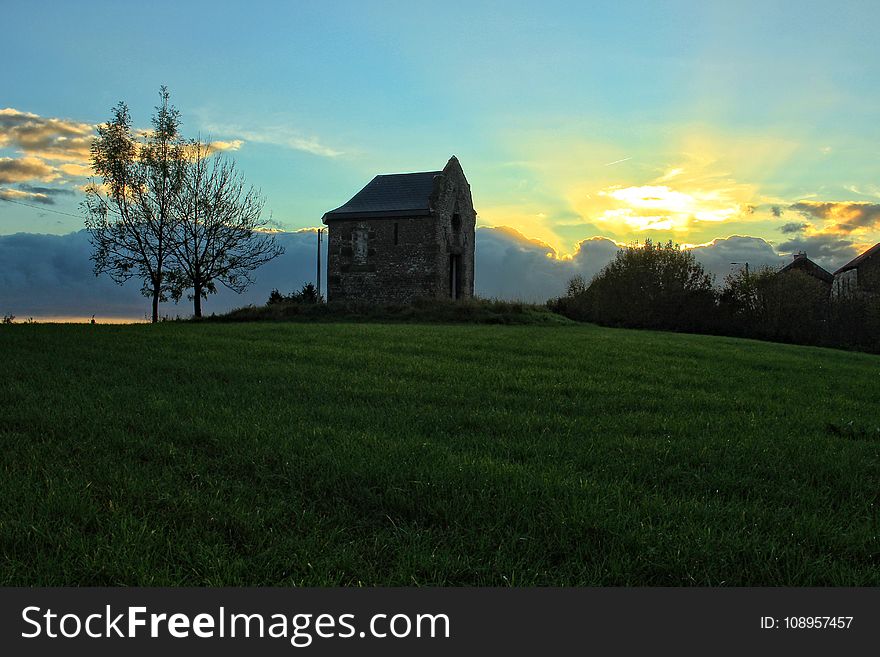 Sky, Grassland, Field, Grass