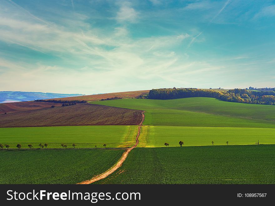 Sky, Grassland, Field, Green