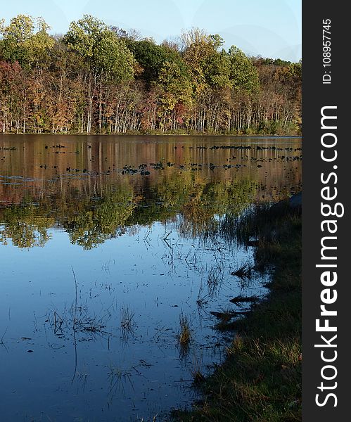 Reflection, Water, Nature, Body Of Water