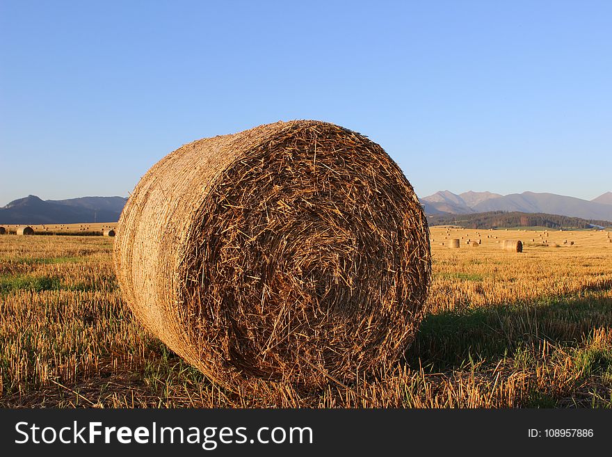Hay, Sky, Field, Straw
