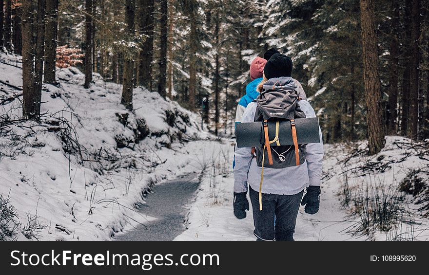 Two People Walking In Woods With Snow