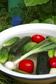 Vegetables In The Basin: Tomatoes, Cucumbers, Onion Royalty Free Stock Photo