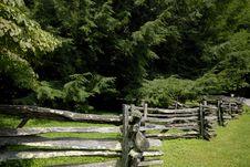 Split Rail Fence And Pines Stock Photography