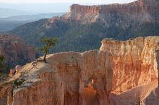 Bryce Canyon National Park Royalty Free Stock Photos Bryce Canyon National Park Royalty Free Stock Photos
