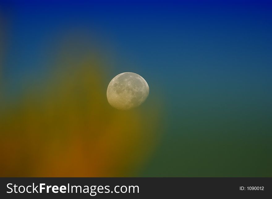 (toxic) Moon from behind the trees and blue sky