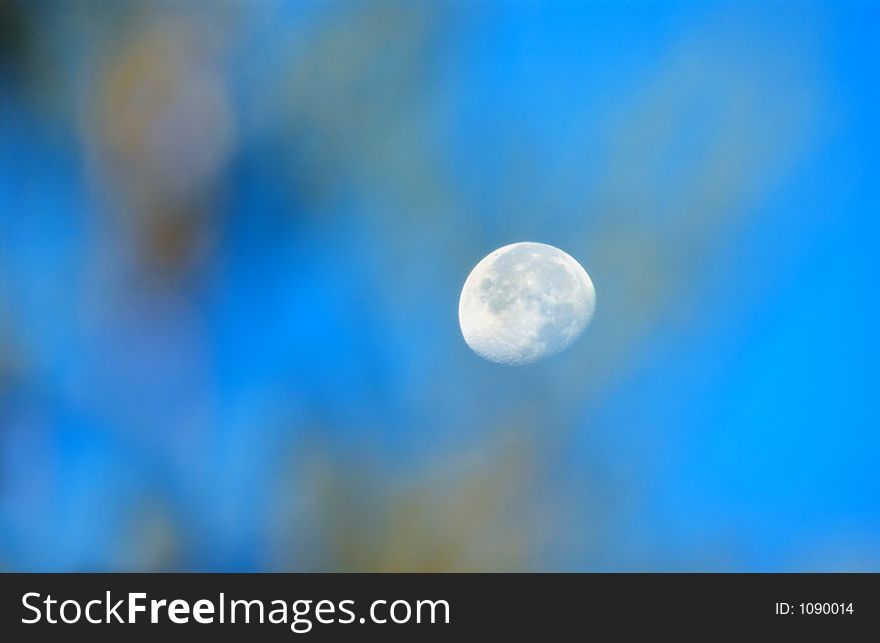 Moon from behind the trees and blue sky