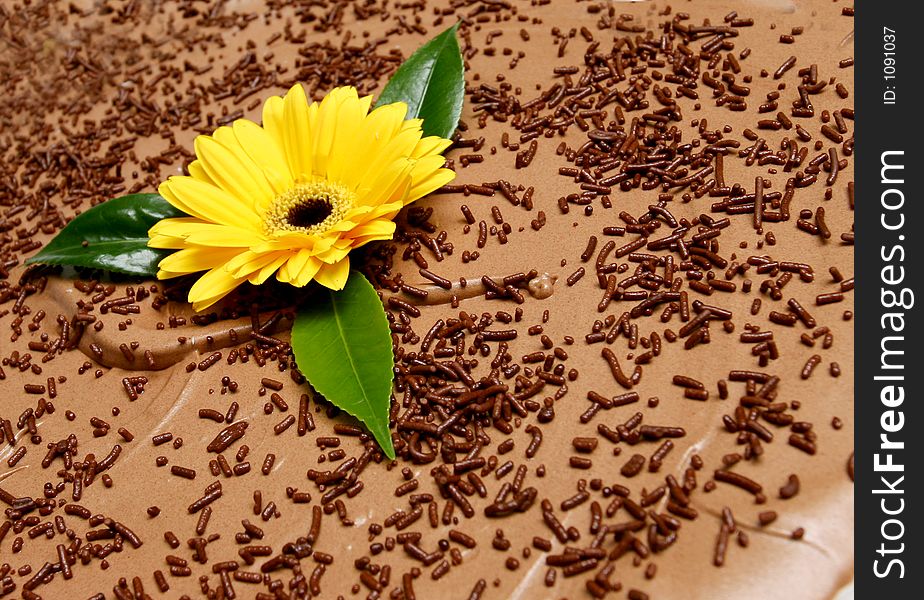 Brown chocolate puding with daisy on. Brown chocolate puding with daisy on