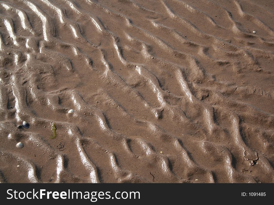 Wet sand on a beach