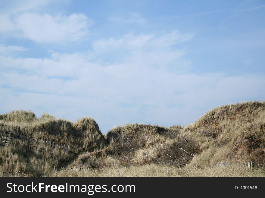 Shapes at Holy Island