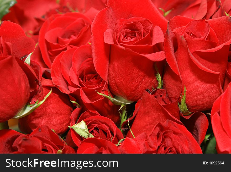 Bouquet of red roses