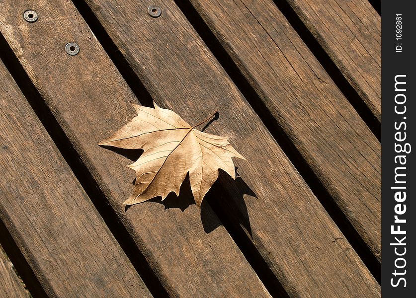 Autumn leaves series;wooden surface. Autumn leaves series;wooden surface
