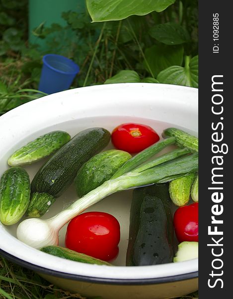 Vegetables In The Basin: Tomatoes, Cucumbers, Onion