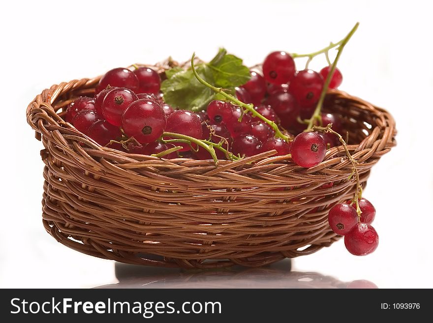 Canister with currant