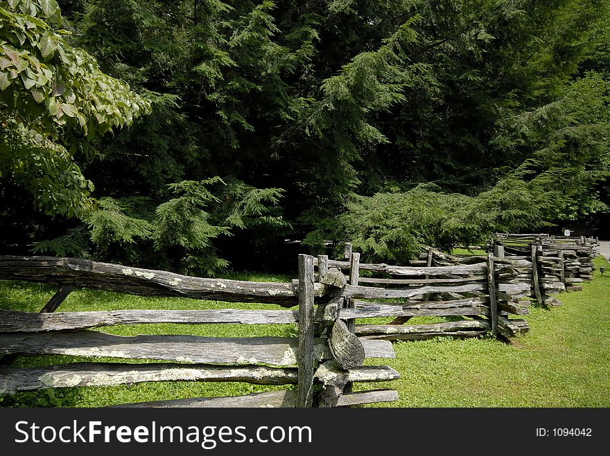 Split Rail Fence and Pines