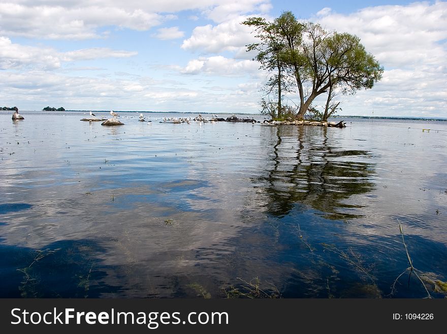 A small island in the lake is host to a group of trees. A small island in the lake is host to a group of trees