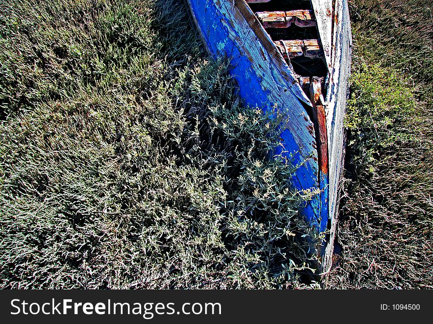 Abandoned boat in swamp