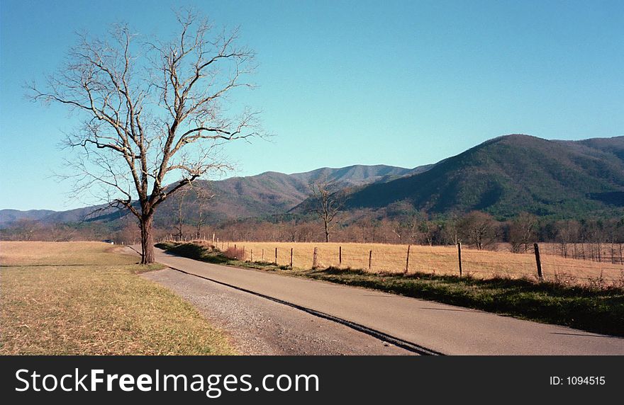 A beautiful late afternoon drive through Cades Cove on Christmas day in 1997. A beautiful late afternoon drive through Cades Cove on Christmas day in 1997.