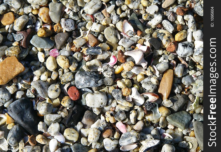 A Close-up of shells and pebbles on the beach. A Close-up of shells and pebbles on the beach