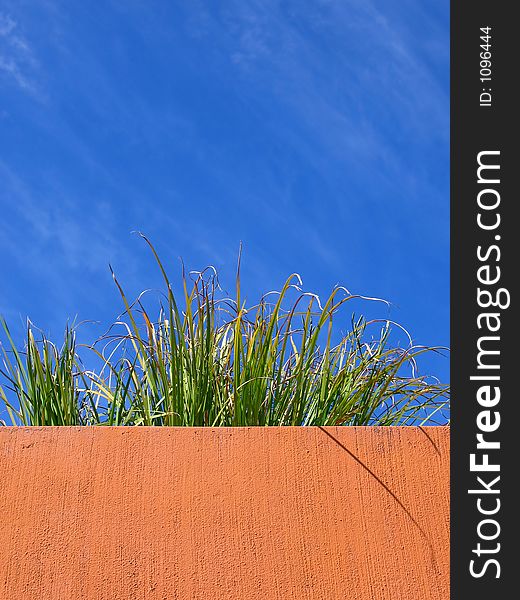 Portrait photo of plant on a terra-cotta ledge. Portrait photo of plant on a terra-cotta ledge.