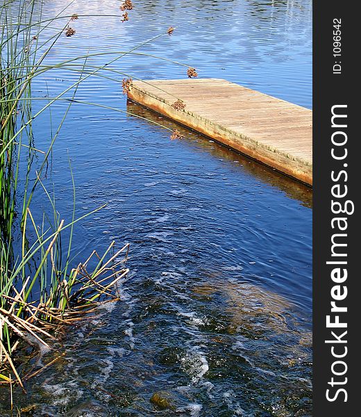 Portrait photo of wetland area. Portrait photo of wetland area.