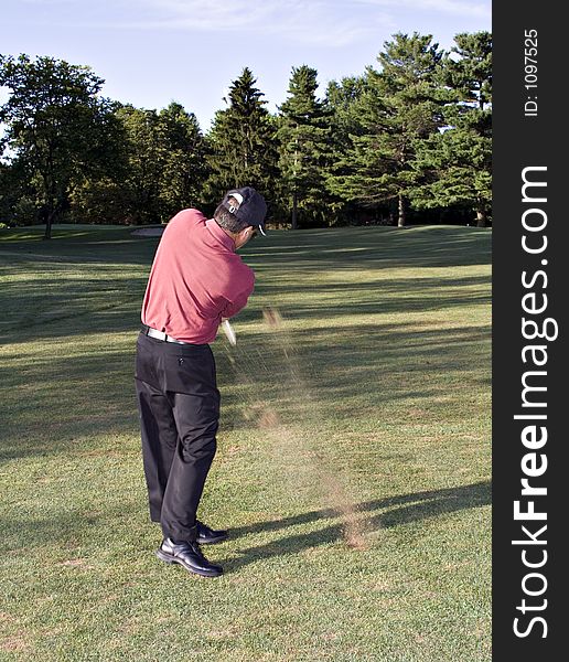 Man in mid golf drive. Action shot - turf flying.  Ball is a white blur against middle pine tree. Man in mid golf drive. Action shot - turf flying.  Ball is a white blur against middle pine tree.