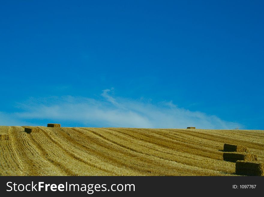 Bales of starw in a field against a blue sky. Bales of starw in a field against a blue sky