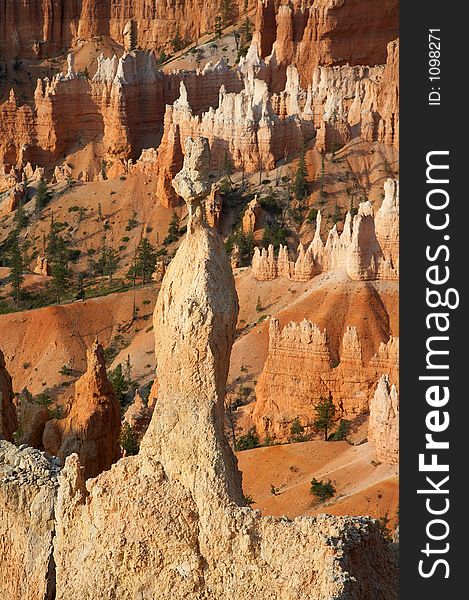 Hoodoo in Bryce Canyon National Park Utah. Hoodoo in Bryce Canyon National Park Utah