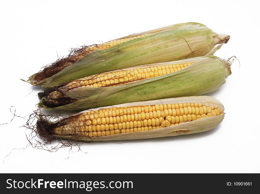 Corn