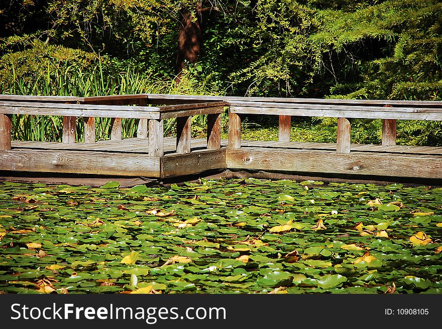 Dock On Lilypad Pond