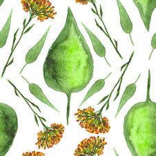 Seamless Pattern With Herbal Motifs. Hand Painted Watercolor Elements. Stock Photography