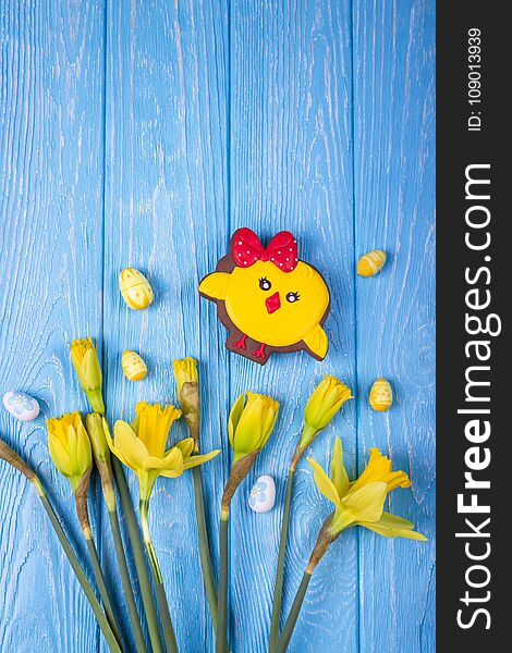 Happy Easter. Spring flowers yellow daffodils, easter eggs and gingerbread chicken on a blue wooden background. Top view, free space