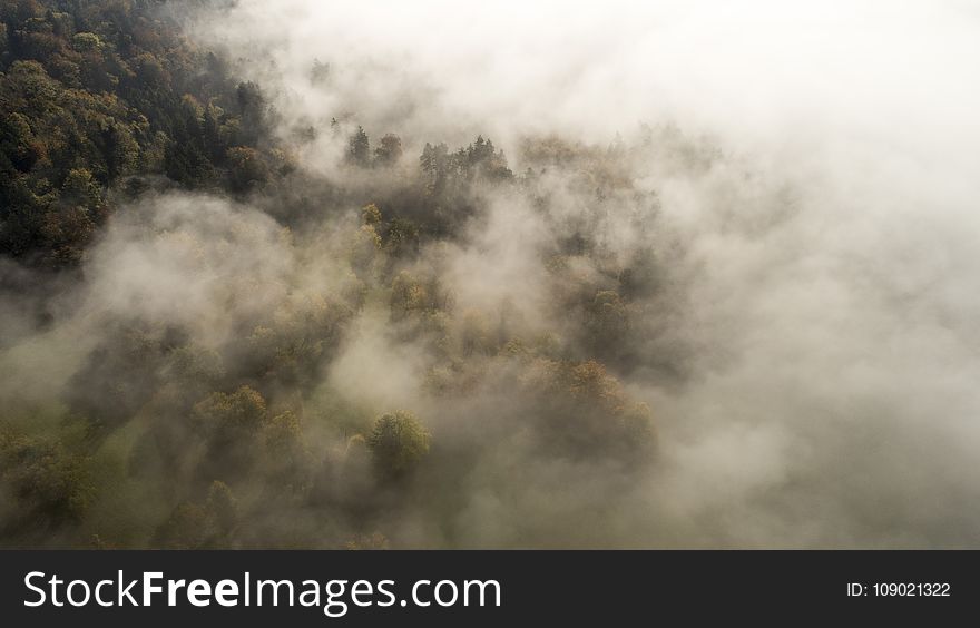 Mist, Fog, Sky, Cloud