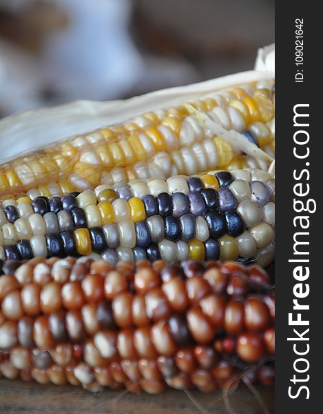 Corn On The Cob, Commodity, Bead, Maize